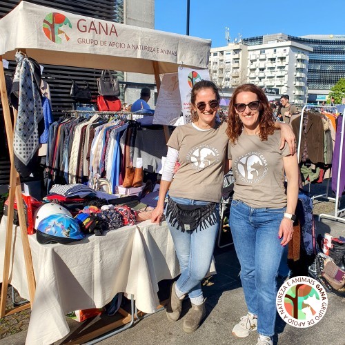 2025-03-29 | 4º Flea Market