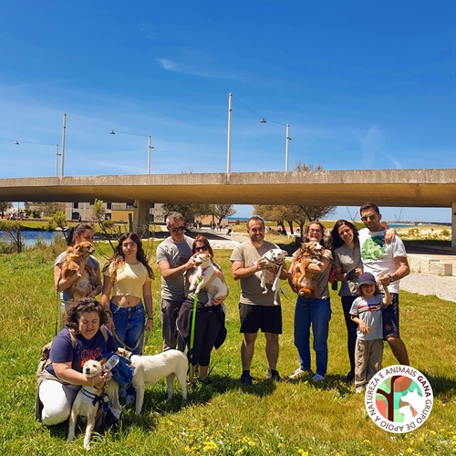 2025-04-27 | 2ª Obediência Básica e Socialização para Cães