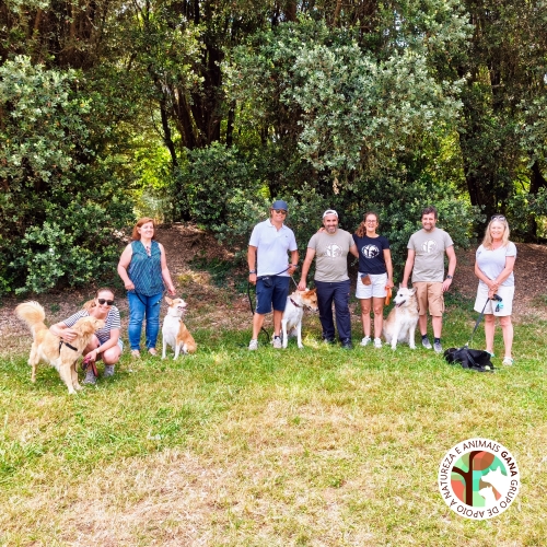 2025-06-29 | 5ª Obediência Básica e Socialização para Cães