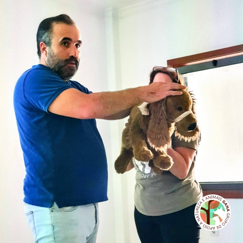 2025-09-28 | 2ª Noções Básicas de Primeiros Socorros a Animais